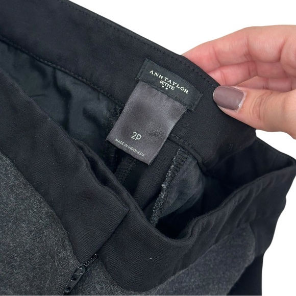 Ann Taylor Petite Grey & Black Pants - Size 2P - Picture 2 of 3